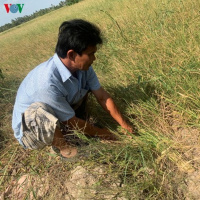 VOV - Thời sự 12h (22/2/2020)