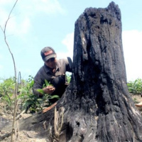 VOV - Thời sự 6h (6/3/2019)