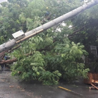 VOV - Thời sự 6h (24/9/2020)