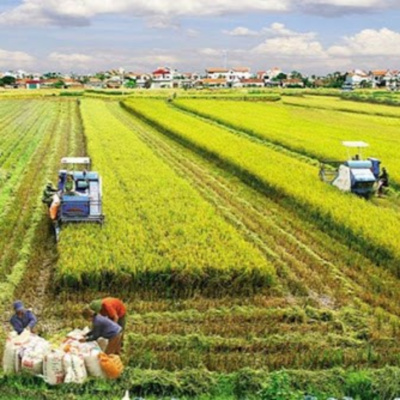 Vov - Chng Trinh Thi S