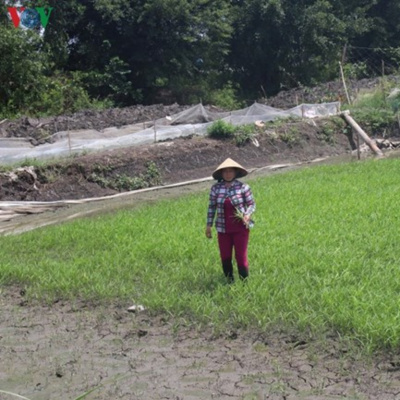 Vov - Chng Trinh Thi S