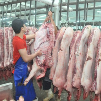 Vov - Chng Trinh Thi S