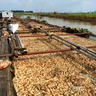 Vov - Chng Trinh Thi S