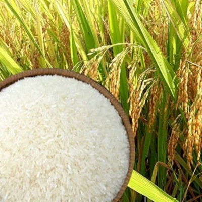 Vov - Chng Trinh Thi S