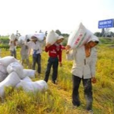 Vov - Chng Trinh Thi S