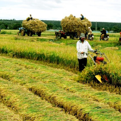 Vov - Chng Trinh Thi S