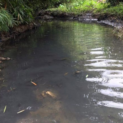 Vov - Chng Trinh Thi S