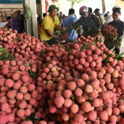 Vov - Chng Trinh Thi S