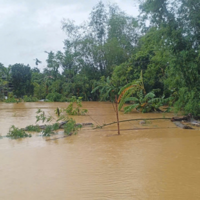 Vov - Chng Trinh Thi S