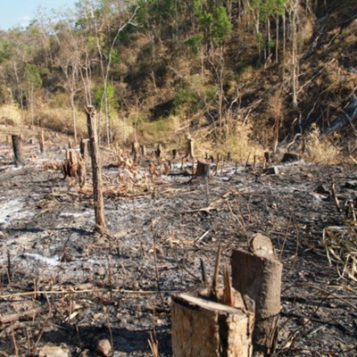 Vov - Chng Trinh Thi S