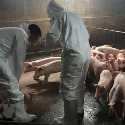 Vov - Chng Trinh Thi S