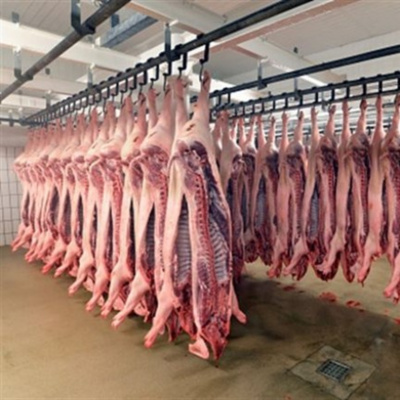 Vov - Chng Trinh Thi S