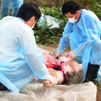 Vov - Chng Trinh Thi S