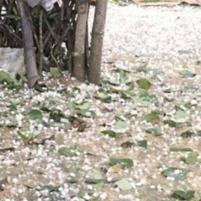 Vov - Chng Trinh Thi S