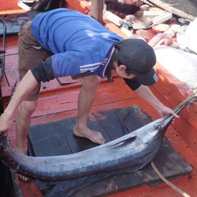 Vov - Chng Trinh Thi S