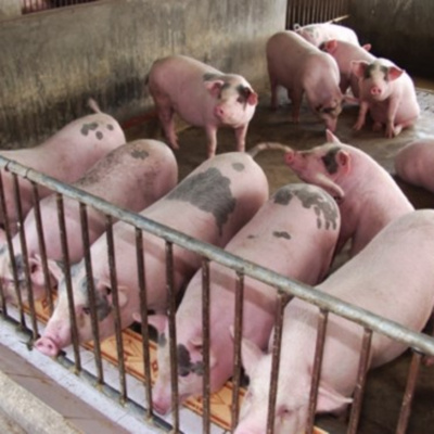 Vov - Chng Trinh Thi S