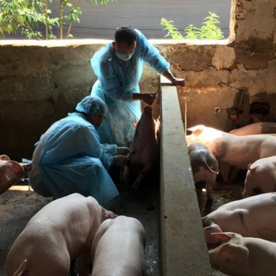 Vov - Chng Trinh Thi S