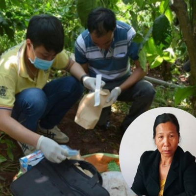 Vov - Chng Trinh Thi S