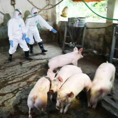 Vov - Chng Trinh Thi S