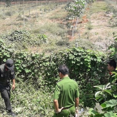 Vov - Chng Trinh Thi S