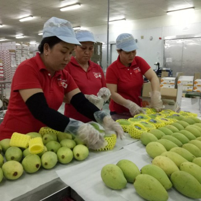 Vov - Chng Trinh Thi S