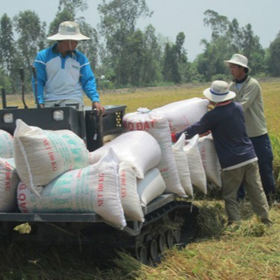 Vov - Chng Trinh Thi S