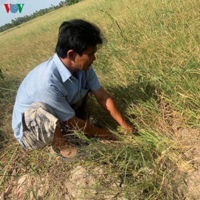 Vov - Chng Trinh Thi S