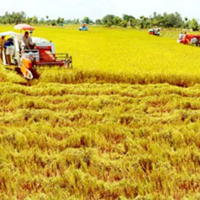 Vov - Chng Trinh Thi S