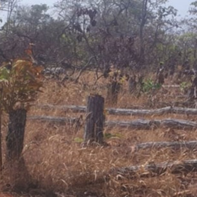 Vov - Chng Trinh Thi S