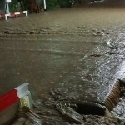 Vov - Chng Trinh Thi S