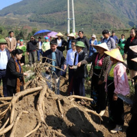 Tin trong nước - Lời giải cho bài toán cây trồng trên đất lúa một vụ ở Lai Châu 