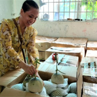 Tin trong nước - Tiền Giang: Người phụ nữ khởi nghiệp thành công từ trái dưa lưới 