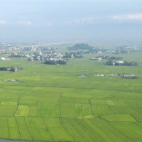 Tin trong nước - Hơn 1000 hécta ở Bình Định nguy cơ thiếu nước vụ hè thu