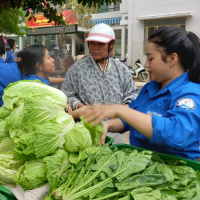 Tin trong nước - Khánh Hòa mở “gian hàng rau 0 đồng” hỗ trợ người dân sau lũ