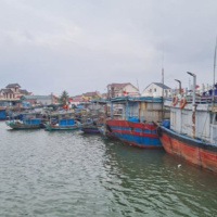 Tin trong nước - Nghệ An: Những chuyến biển cuối năm cập bến của ngư dân 