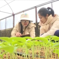 Tin trong nước - Thanh Hoá: Chú trọng quy trình nghiên cứu, chọn tạo giống nông nghiệp