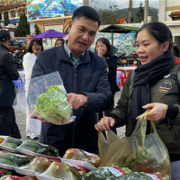 Tin trong nước - Lâm Đồng đẩy mạnh hỗ trợ sản phẩm nông nghiệp đạt tiêu chuẩn OCOP 