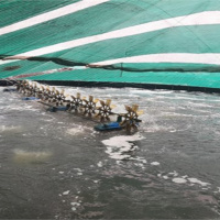 Tin trong nước - Bến Tre: Ngành nuôi trồng thủy sản đạt kết quả khả quan