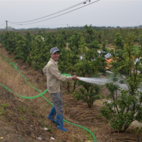 Tin trong nước - Tết sớm ở làng hoa Bình Khê, Đông Triều