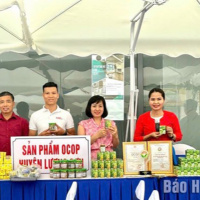 Tin trong nước - Tỉnh Hòa Bình nâng cao chất lượng sản phẩm OCOP