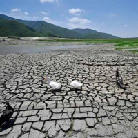 Tin quốc tế - Hạn hán nghiêm trọng ở Colombia, Mexico