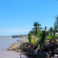 Tin trong nước - Bến Tre: Cần bảo vệ bờ kè cồn Tam Hiệp với kinh phí đầu tư hơn 325 tỷ đồng