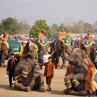 Tin quốc tế - Lào: Lễ hội voi 2024 hứa hẹn nhiều hoạt động hấp dẫn