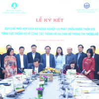 Tin trong nước - Nâng cao hiệu quả công tác thống kê, phát triển nông nghiệp, nông thôn bền vững