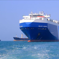 Tin quốc tế - Sóng dữ ở biển Đỏ