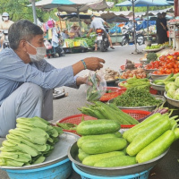 Tin trong nước - Giá rau, củ, quả tại TP.HCM tăng gấp đôi