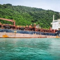 Tin trong nước - Lên phương án lai dắt tàu nước ngoài mắc cạn ra khỏi khu bảo tồn biển Cù Lao Chàm