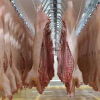 Tin trong nước - Giá thịt lợn không tăng đột biến và đủ nguồn cung dịp Tết nguyên đán