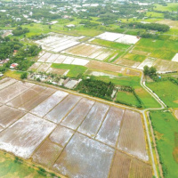 Tin trong nước - Sớm ban hành Nghị định, thông tư hướng dẫn để sớm đưa Luật Đất đai đi vào cuộc sống