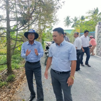 Tin trong nước - Tiền Giang: Nhiều vườn cây sầu riêng “tỉ phú” bị thiệt hại do thiên tai, dịch bệnh